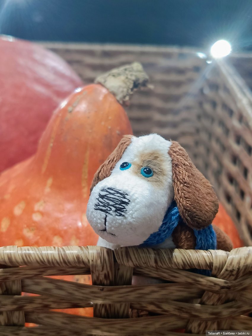 И о погоде — Авторские мишки Тедди и друзья: фото