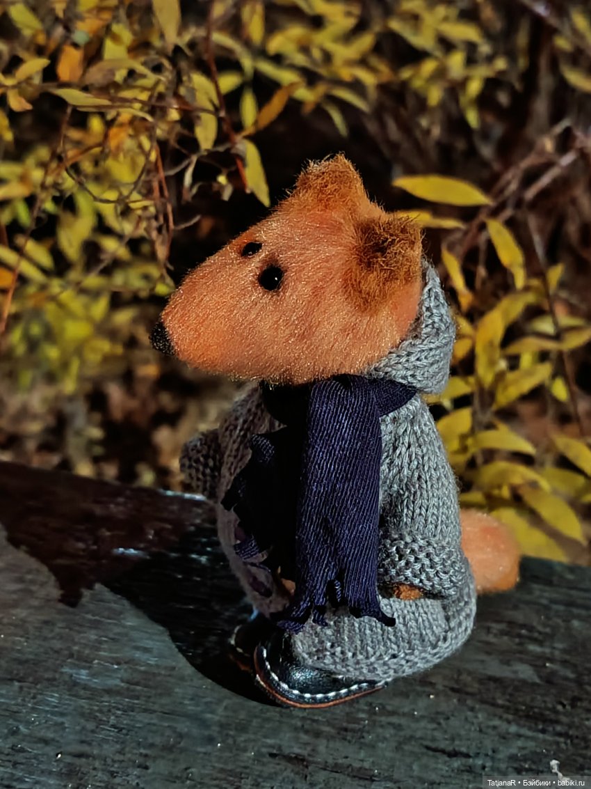 Дайте крыску посмотреть или Приключения лисят золотой осенью (фото 5)