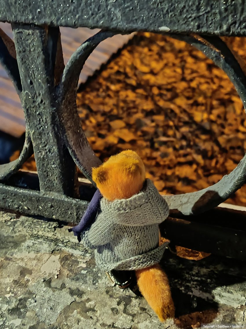 Дайте крыску посмотреть или Приключения лисят золотой осенью