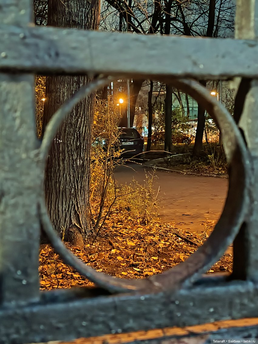 Дайте крыску посмотреть или Приключения лисят золотой осенью (фото 9)