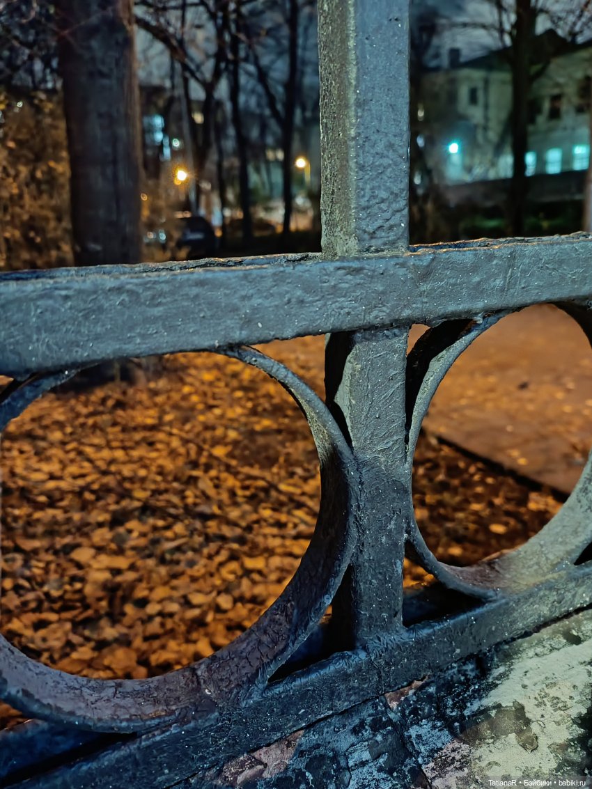 Дайте крыску посмотреть или Приключения лисят золотой осенью (фото 10)