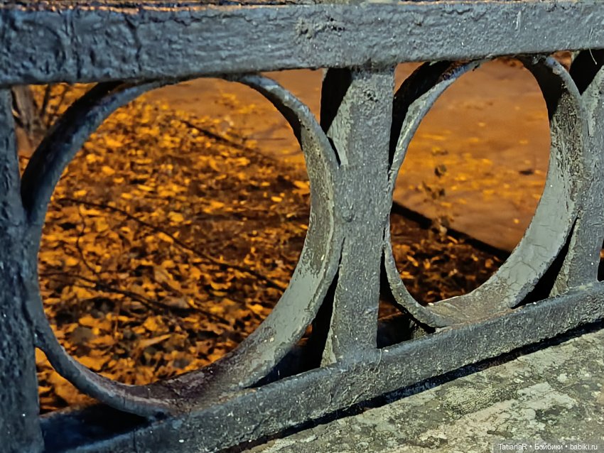 Дайте крыску посмотреть или Приключения лисят золотой осенью