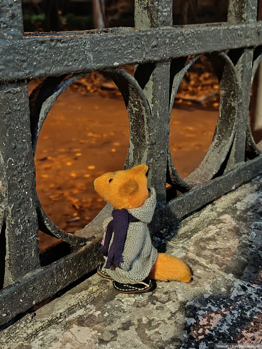 Дайте крыску посмотреть или Приключения лисят золотой осенью