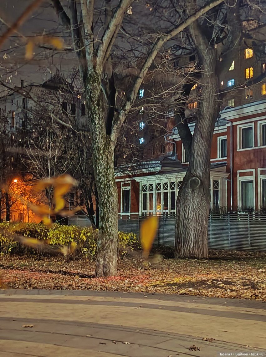 Дайте крыску посмотреть или Приключения лисят золотой осенью