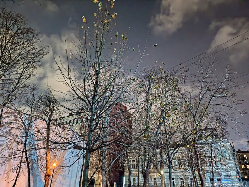 Дайте крыску посмотреть или Приключения лисят золотой осенью