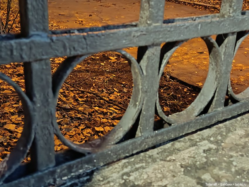 Дайте крыску посмотреть или Приключения лисят золотой осенью