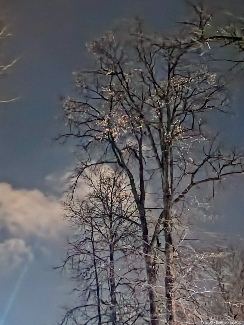 Дайте крыску посмотреть или Приключения лисят золотой осенью