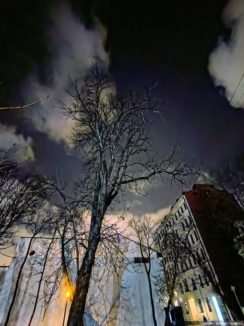 Дайте крыску посмотреть или Приключения лисят золотой осенью