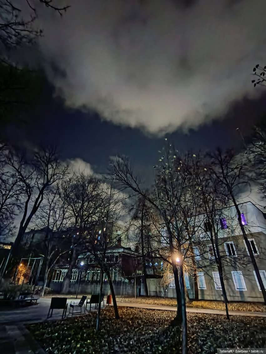 Дайте крыску посмотреть или Приключения лисят золотой осенью