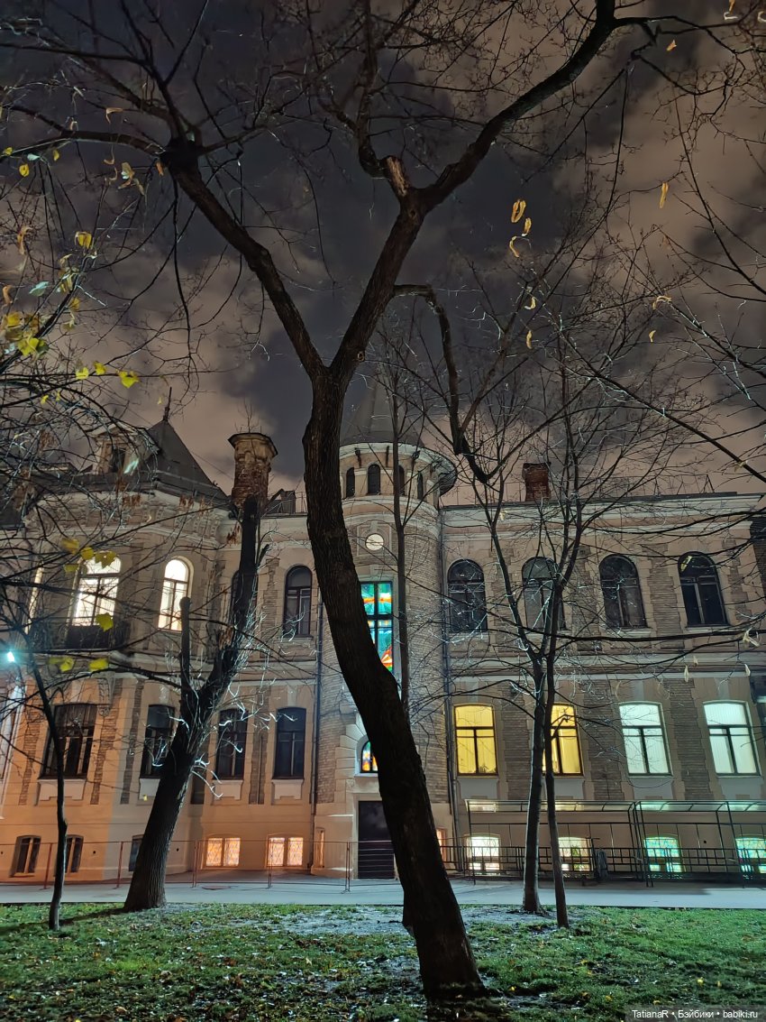 Дайте крыску посмотреть или Приключения лисят золотой осенью