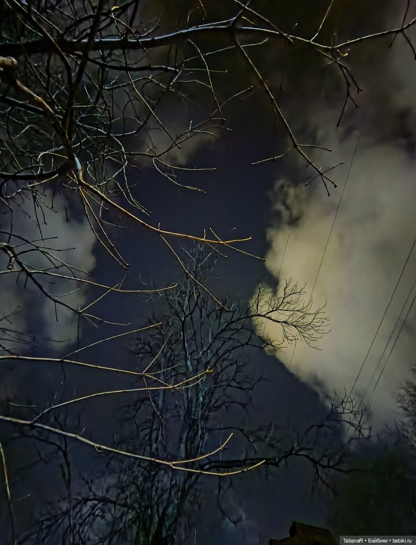 Дайте крыску посмотреть или Приключения лисят золотой осенью