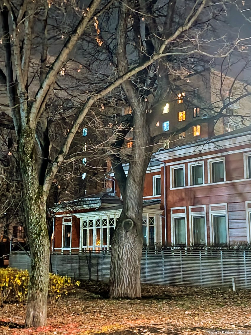 Дайте крыску посмотреть или Приключения лисят золотой осенью