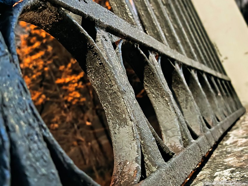 Дайте крыску посмотреть или Приключения лисят золотой осенью