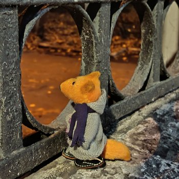 Дайте крыску посмотреть или Приключения лисят золотой осенью