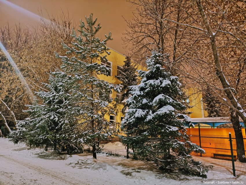 Удивительная, волшебная Тринити Trinity Dolls (фото 3)