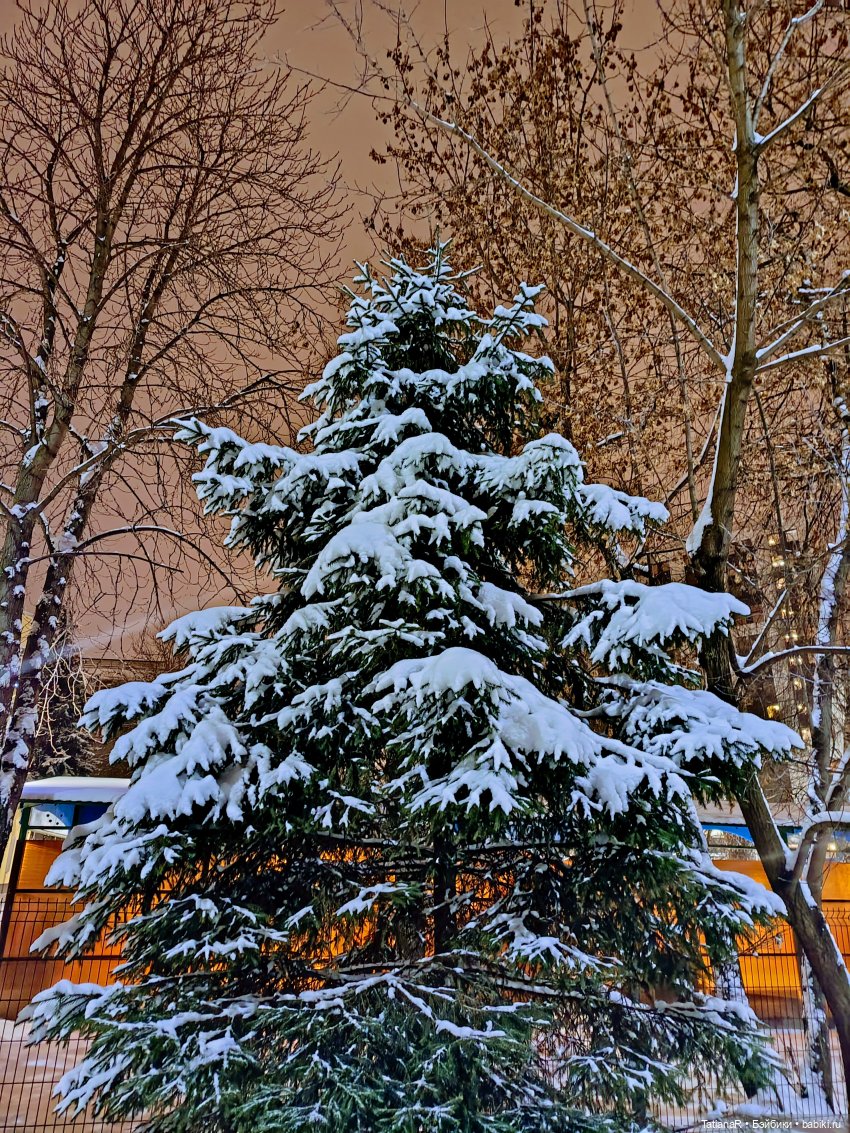 Удивительная, волшебная Тринити Trinity Dolls