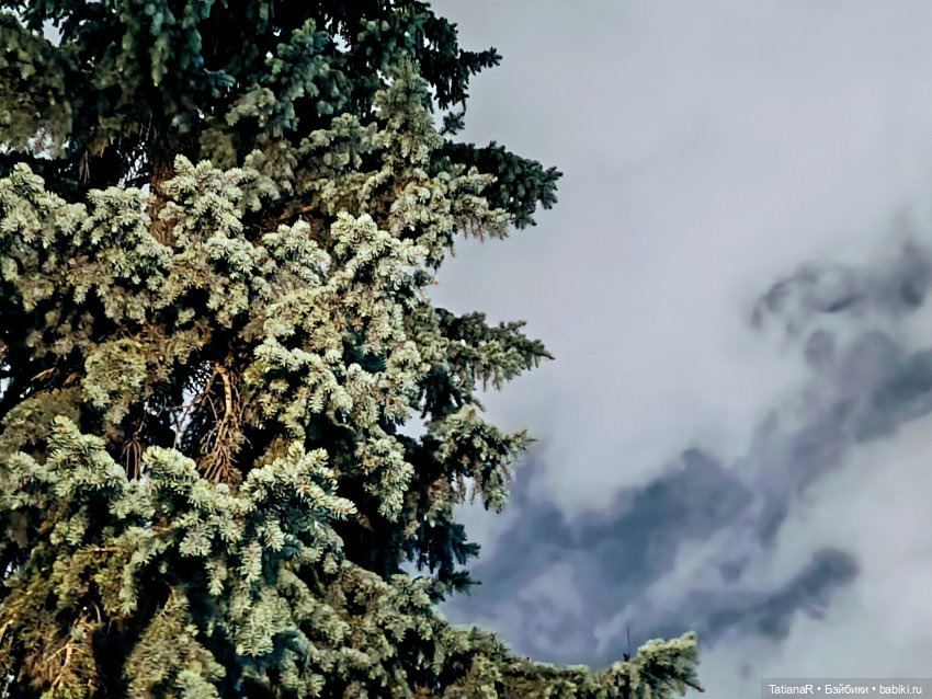 Маленький Лисёнок и большой город (фото 7)