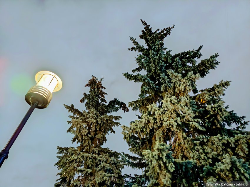 Маленький Лисёнок и большой город (фото 9)