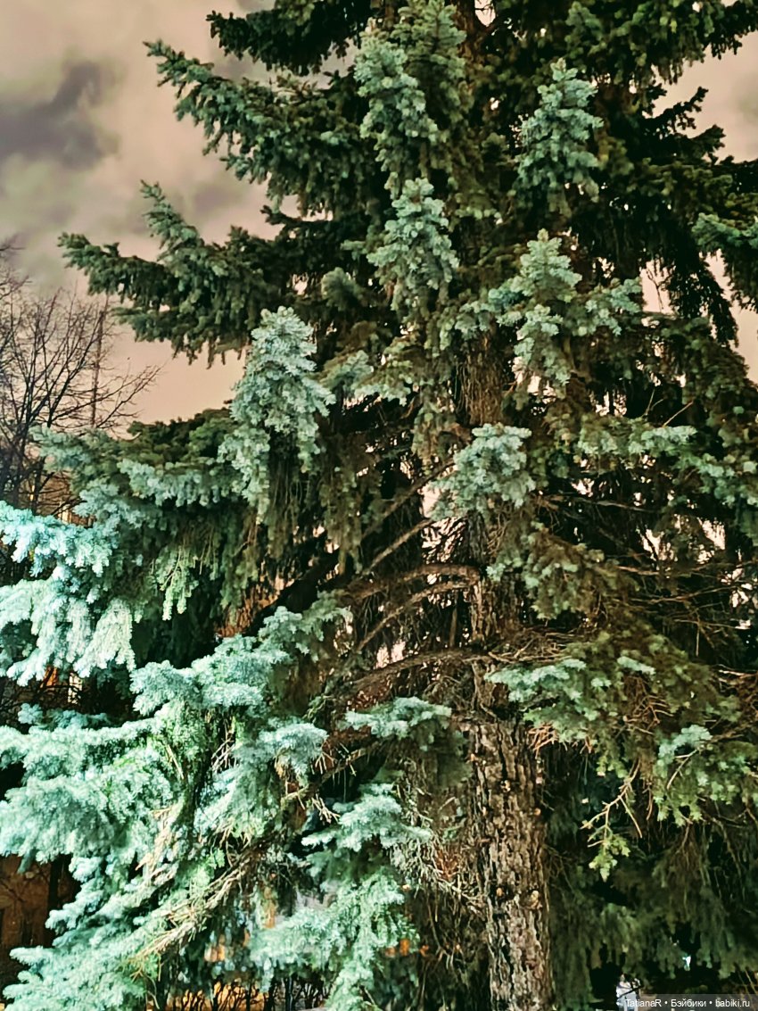 Маленький Лисёнок и большой город (фото 2)