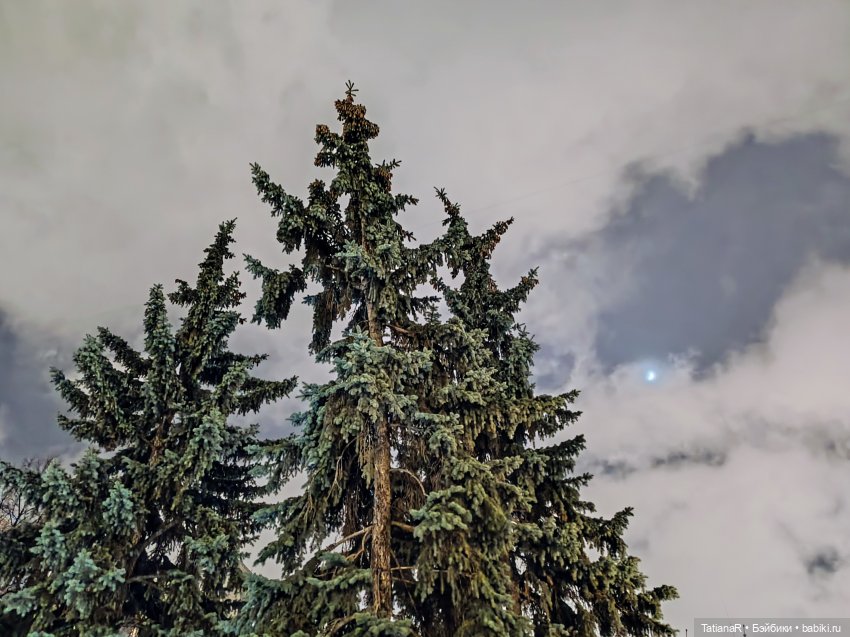 Маленький Лисёнок и большой город (фото 4)