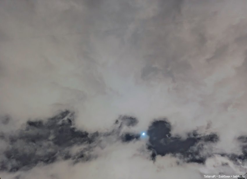 Маленький Лисёнок и большой город (фото 5)