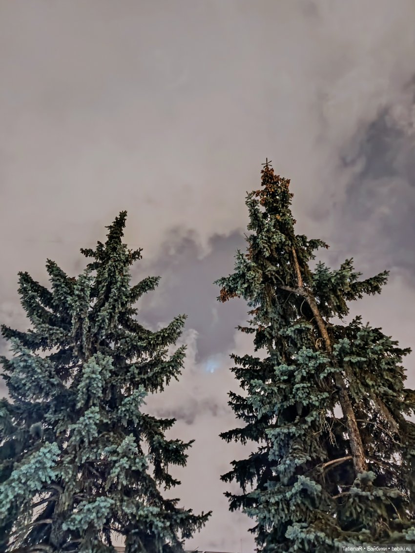 Маленький Лисёнок и большой город (фото 8)