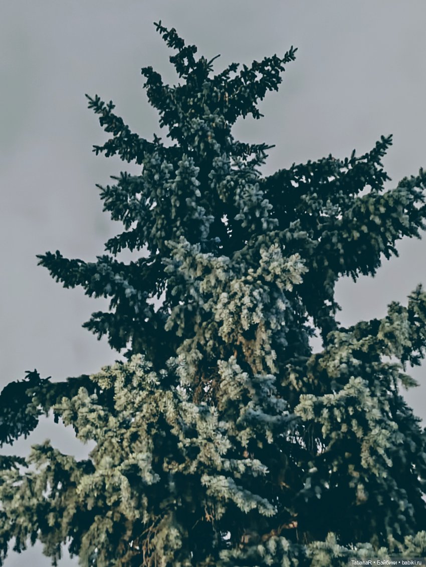 Маленький Лисёнок и большой город