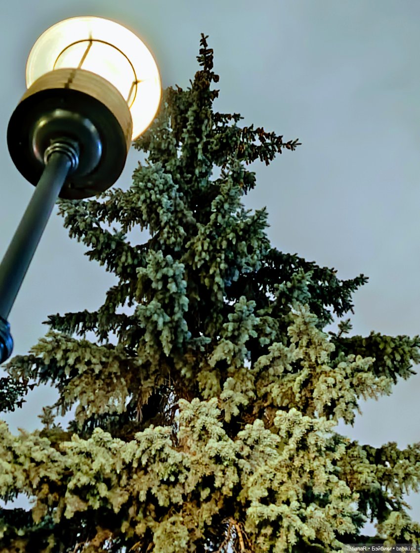 Маленький Лисёнок и большой город (фото 10)