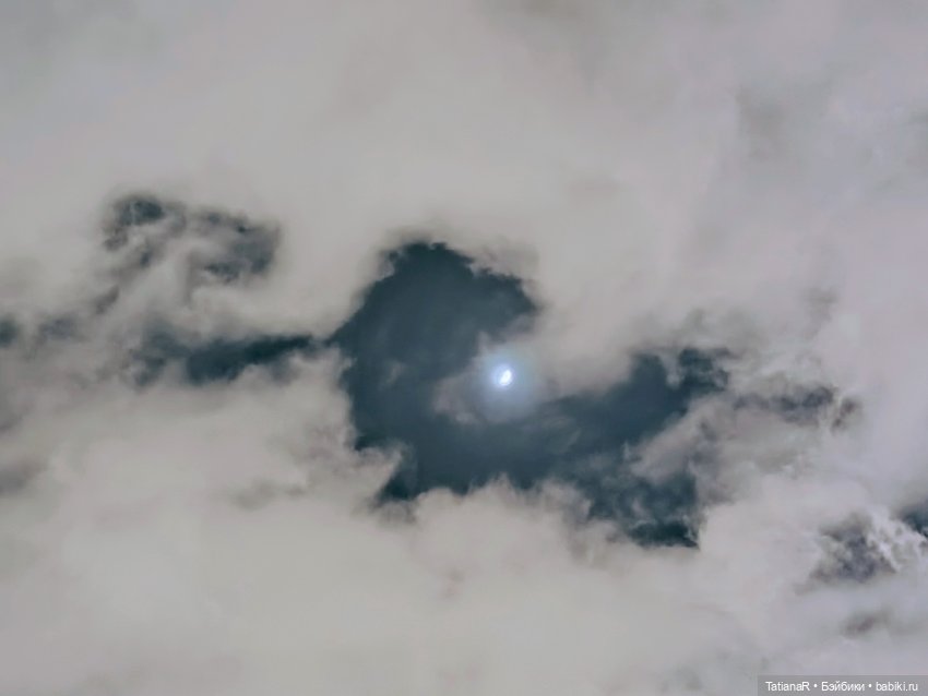 Маленький Лисёнок и большой город (фото 6)