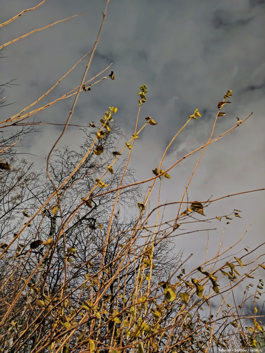 Маленький Лисёнок и большой город
