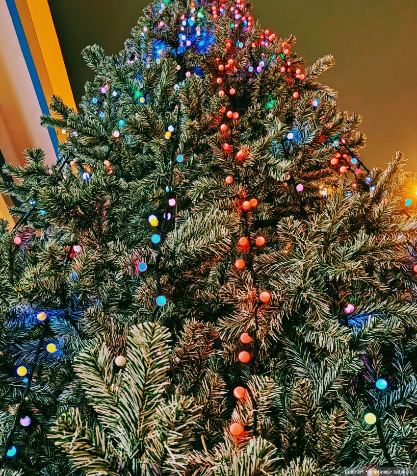 Мои Trinity Dolls, их дела и прогулка