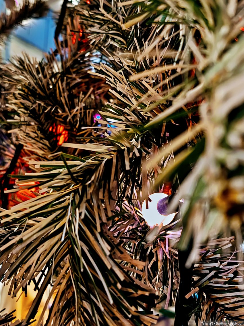 Мои Trinity Dolls, их дела и прогулка