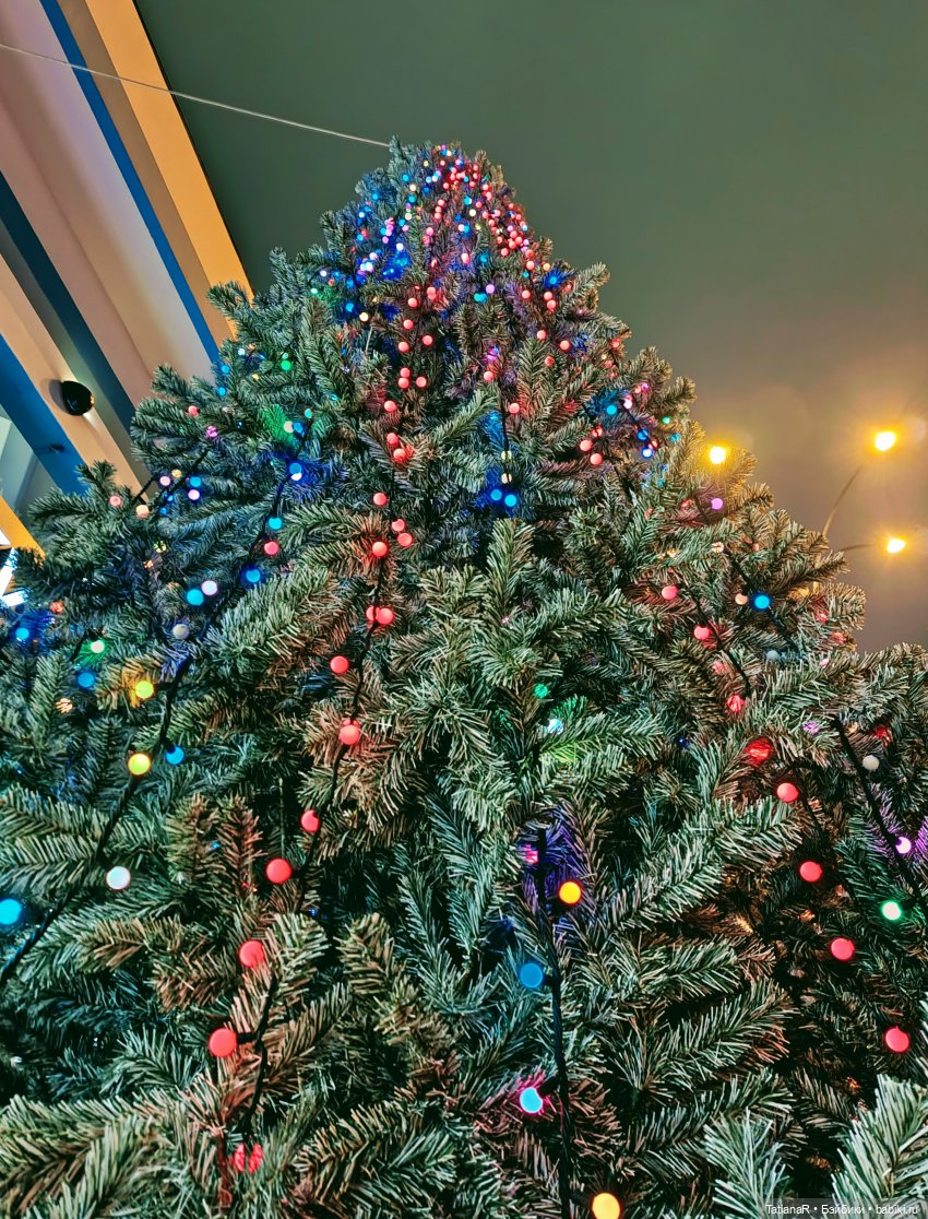 Мои Trinity Dolls, их дела и прогулка