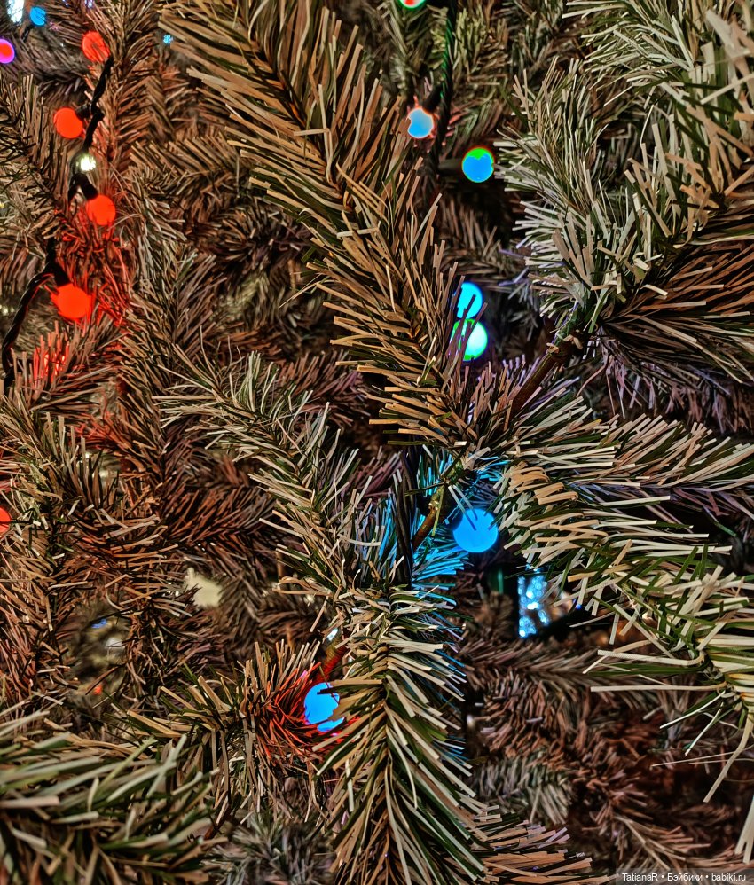 Мои Trinity Dolls, их дела и прогулка