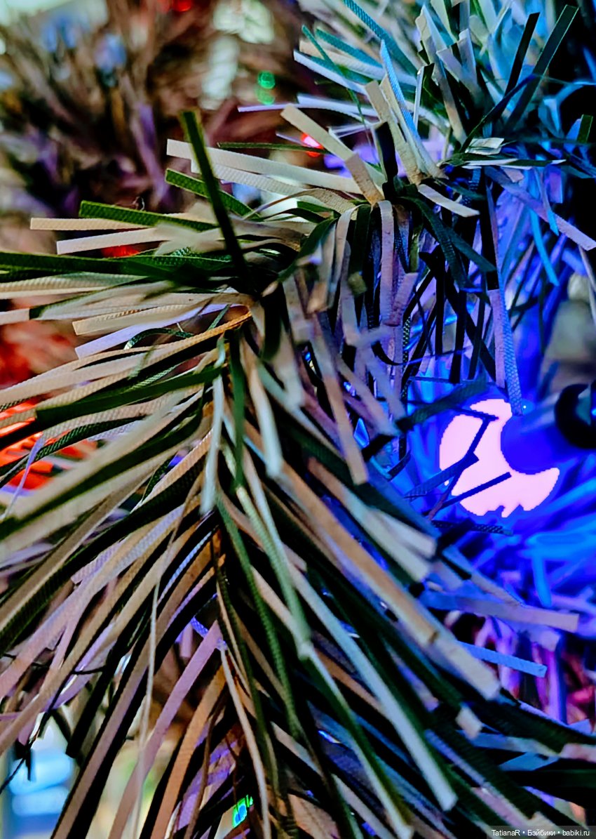 Мои Trinity Dolls, их дела и прогулка