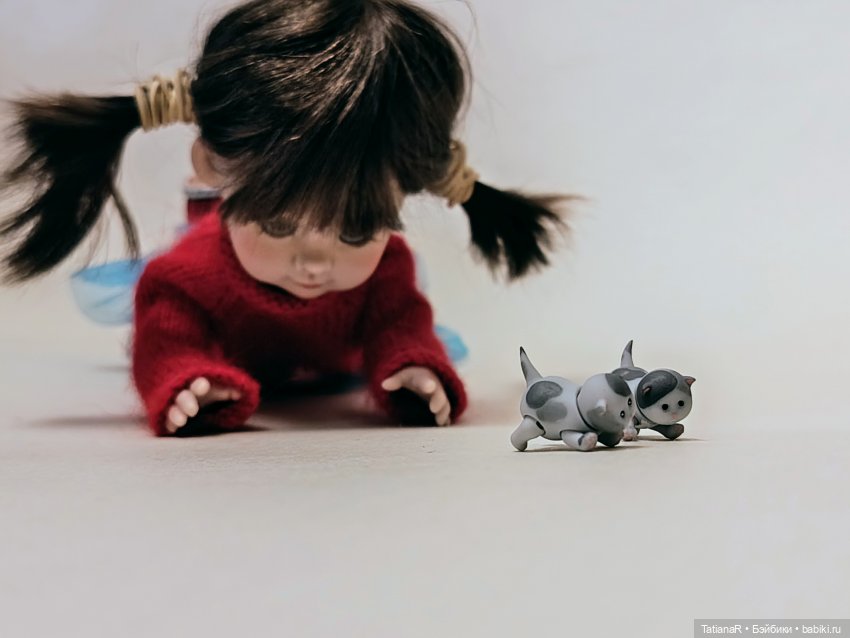 А у нас сегодня кошка родила вчера котят