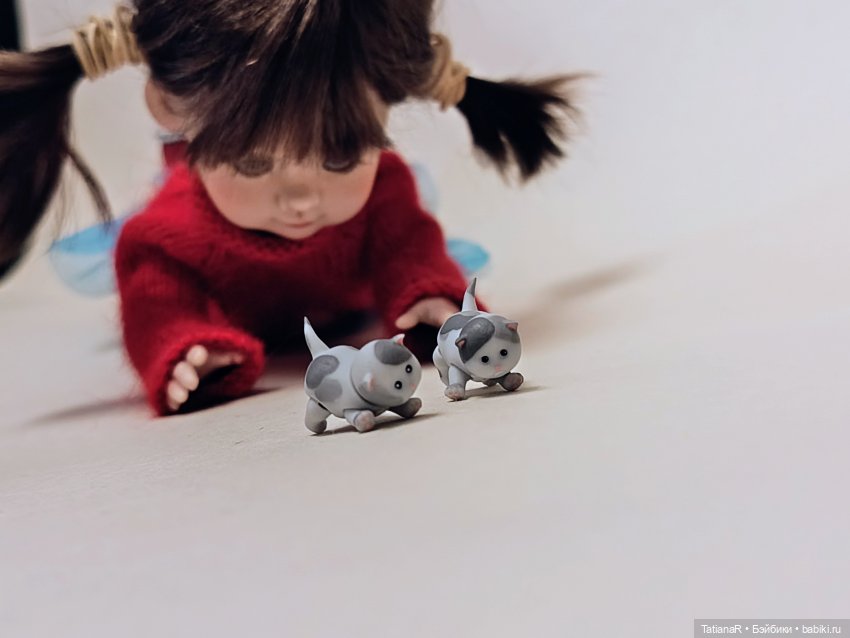 А у нас сегодня кошка родила вчера котят