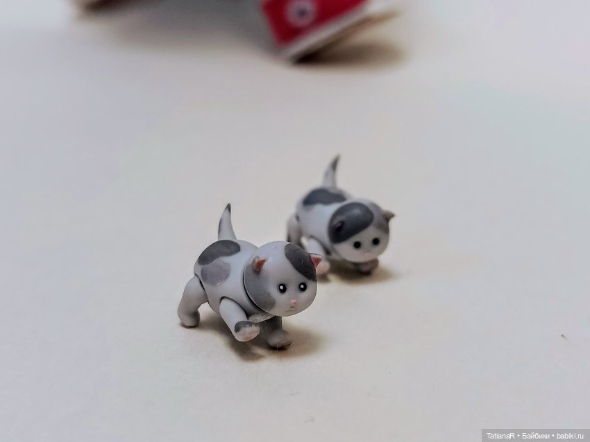 А у нас сегодня кошка родила вчера котят