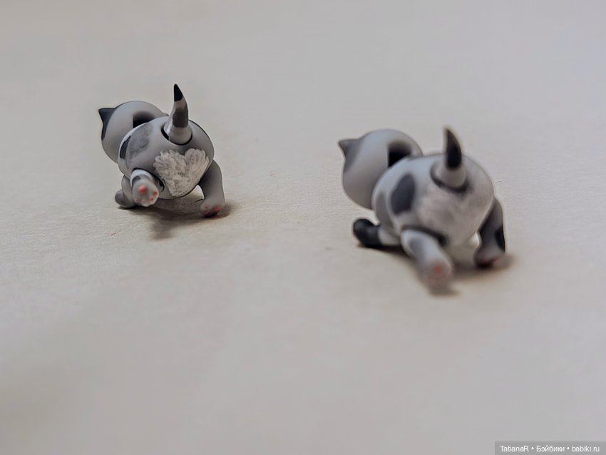 А у нас сегодня кошка родила вчера котят