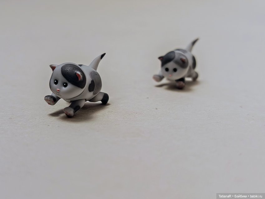 А у нас сегодня кошка родила вчера котят