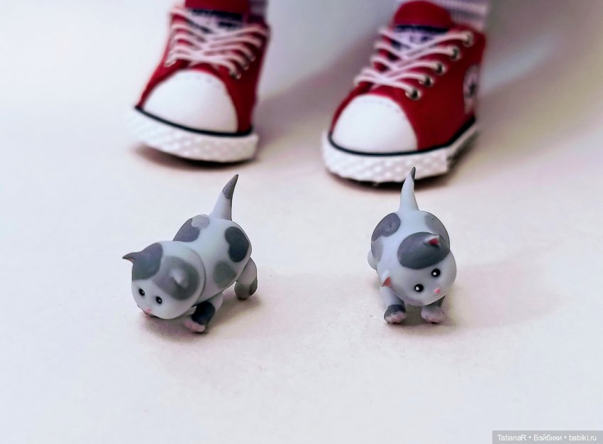 А у нас сегодня кошка родила вчера котят (фото 3)