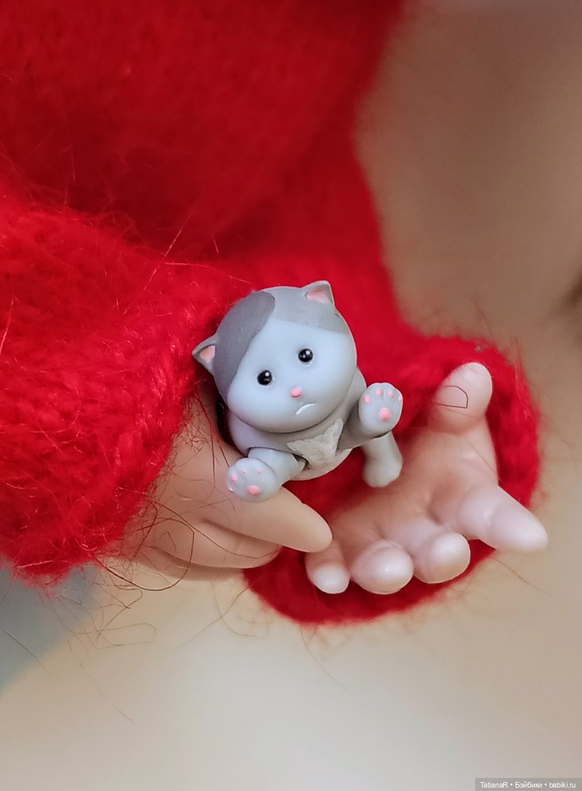 А у нас сегодня кошка родила вчера котят