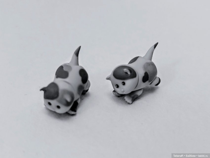 А у нас сегодня кошка родила вчера котят (фото 7)