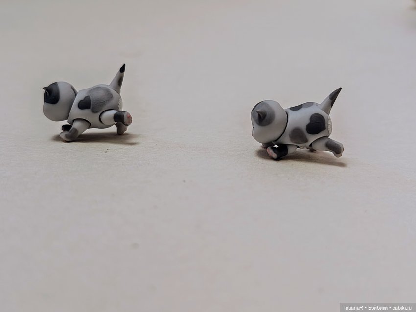 А у нас сегодня кошка родила вчера котят