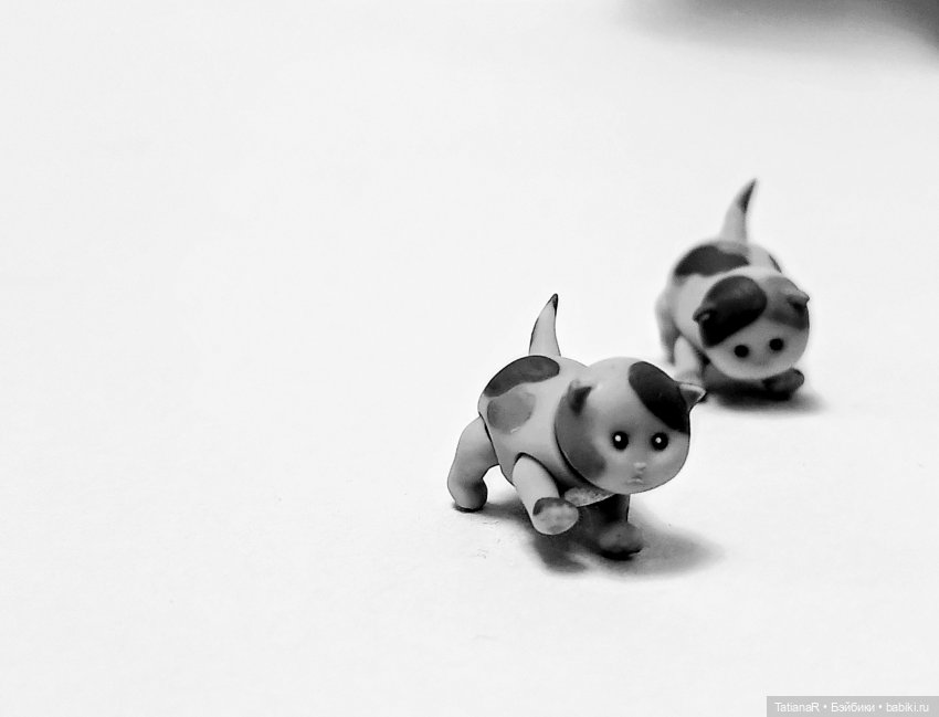 А у нас сегодня кошка родила вчера котят