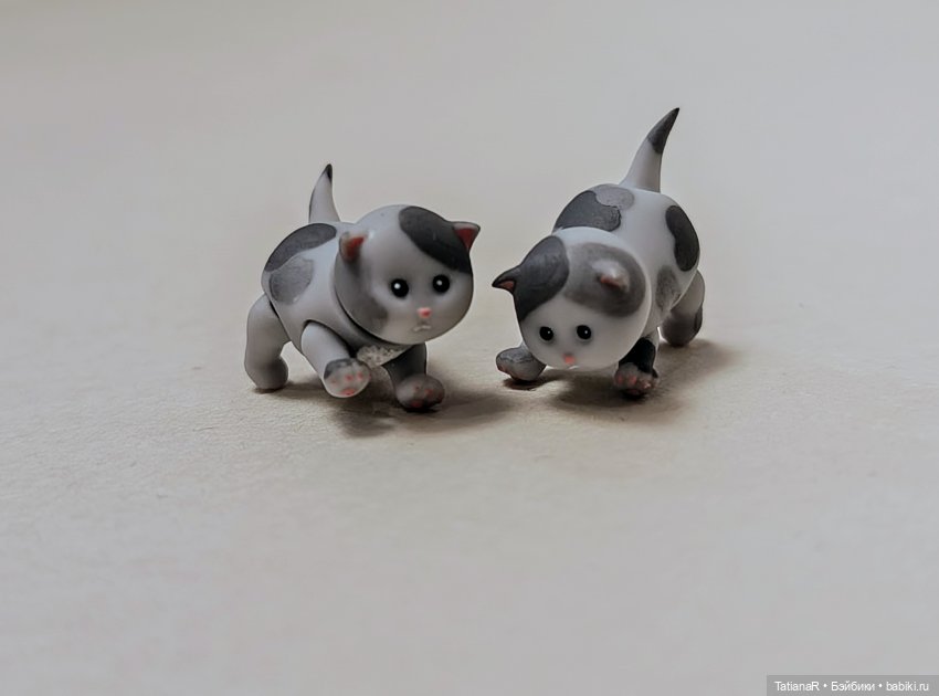 А у нас сегодня кошка родила вчера котят