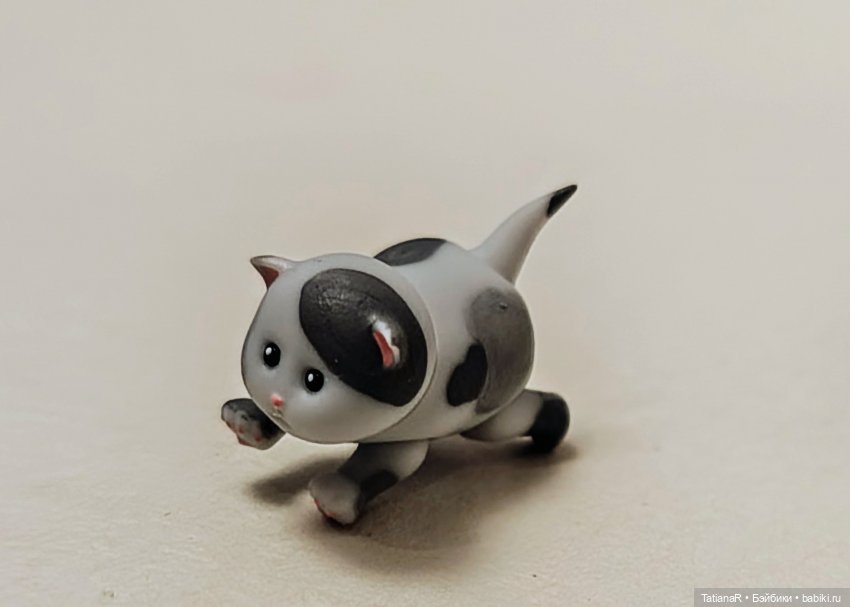 А у нас сегодня кошка родила вчера котят