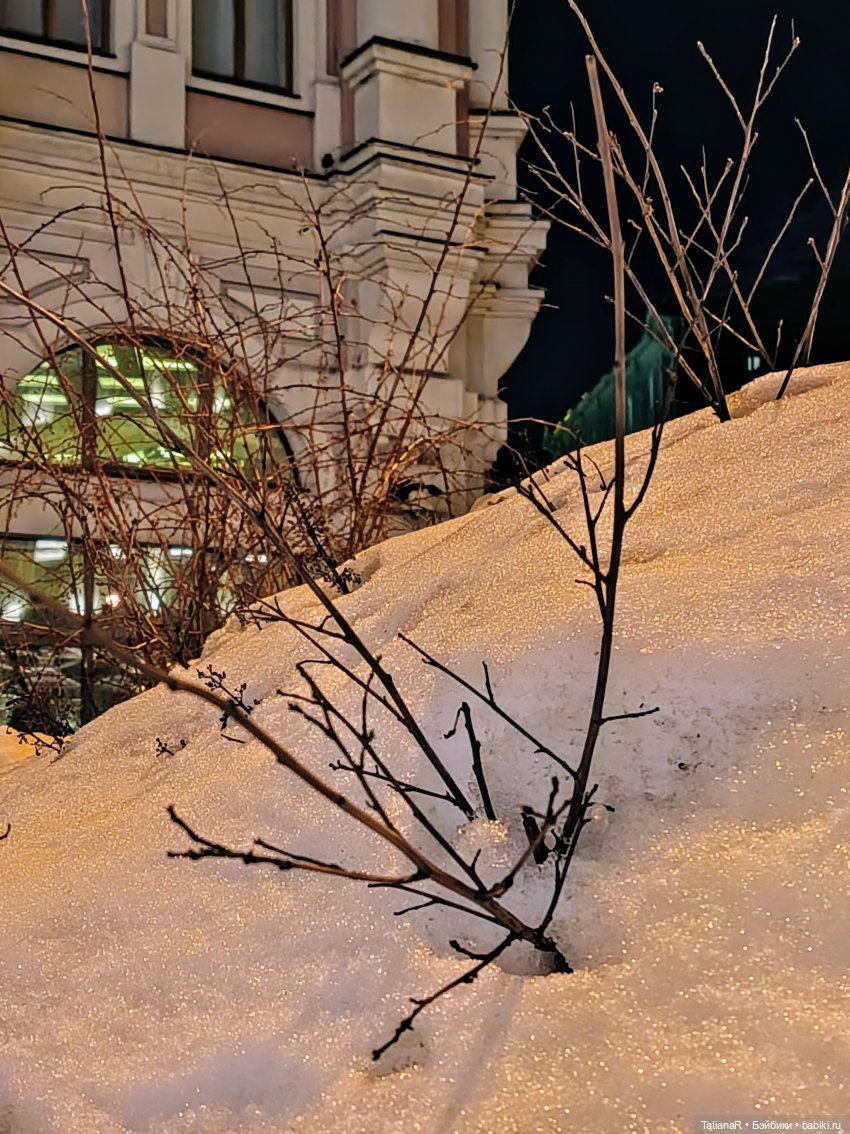 Мои пупсики или Три медведя (фото 6)