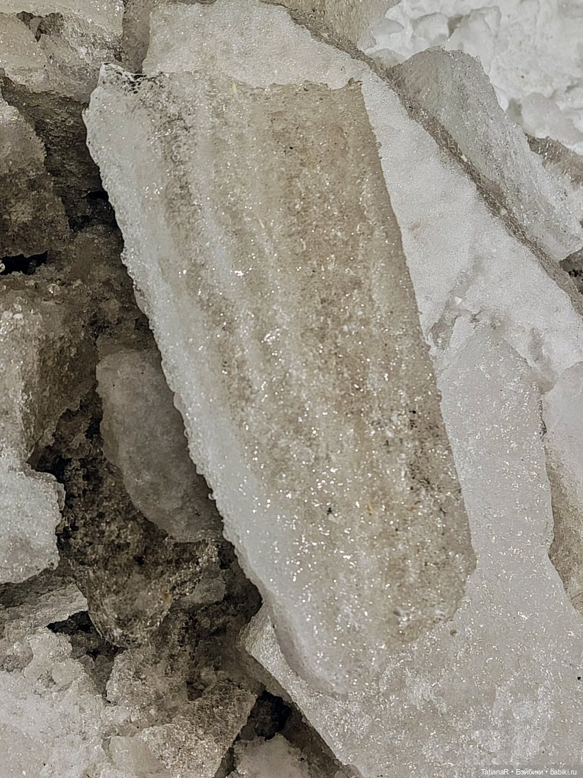 Мои пупсики или Три медведя