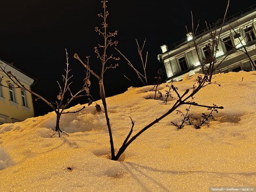 Мои пупсики или Три медведя